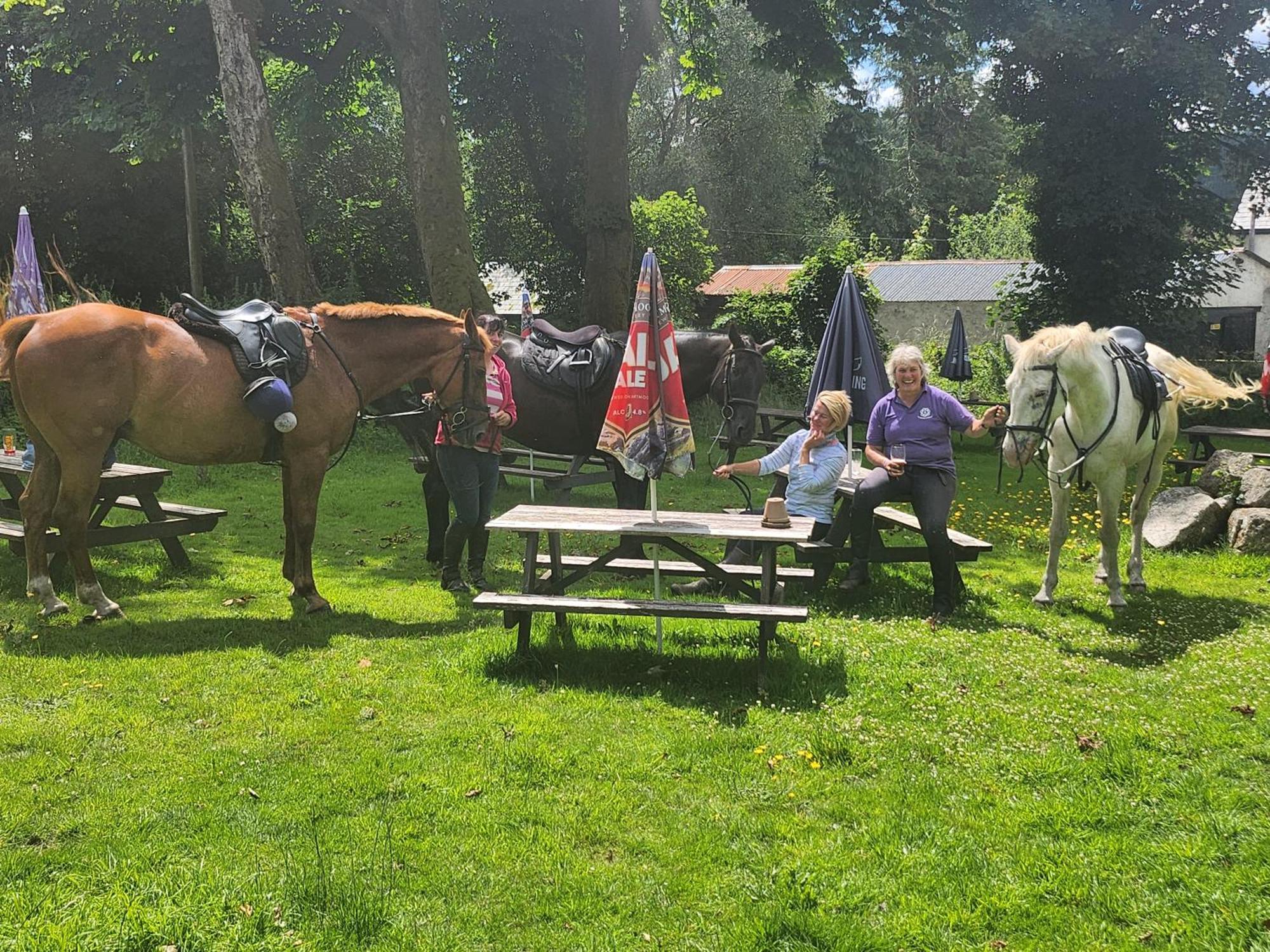 East Dart Inn Yelverton Esterno foto